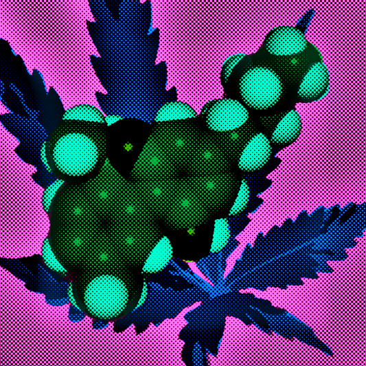 Cannabis Chromatography: A Technicolor Dream