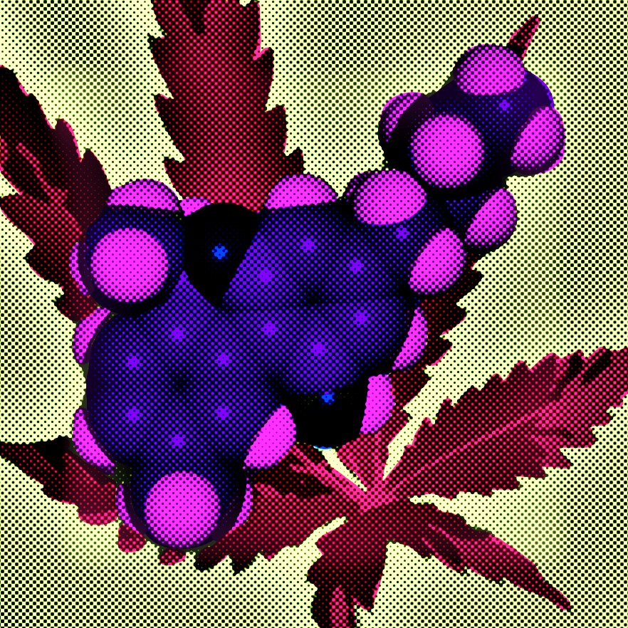 Cannabis Chromatography: A Technicolor Dream